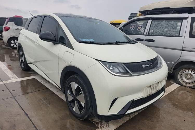 BYD Dolphin 2023 — 3