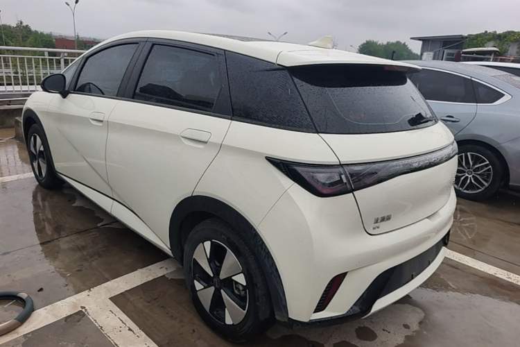BYD Dolphin 2023 — 4