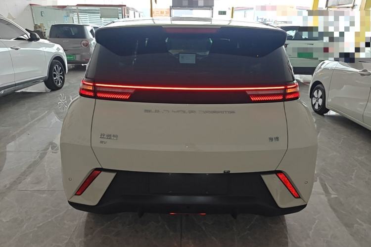 BYD Seagull 2024 — 5