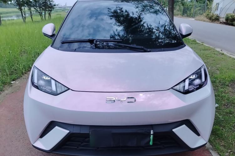BYD Dolphin Mini 2025 — 2