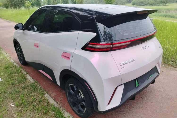 BYD Dolphin Mini 2025 — 4