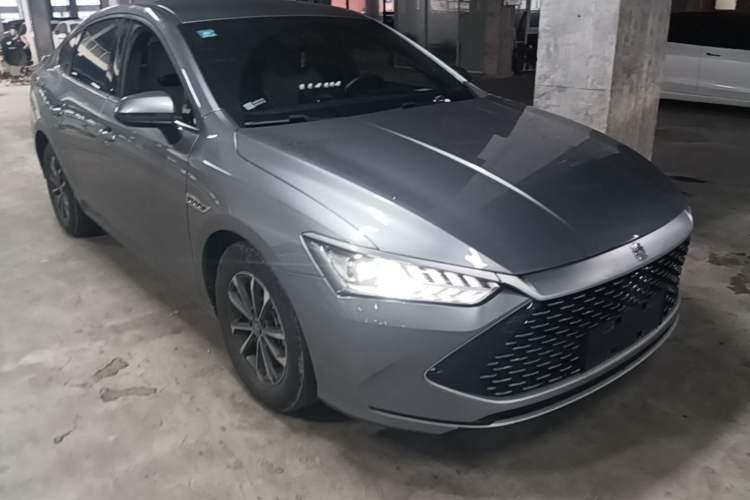 BYD Qin Plus 2023 — фото 3