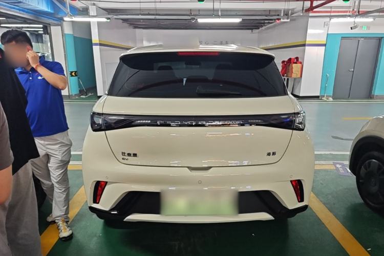 BYD Dolphin 2025 — 5