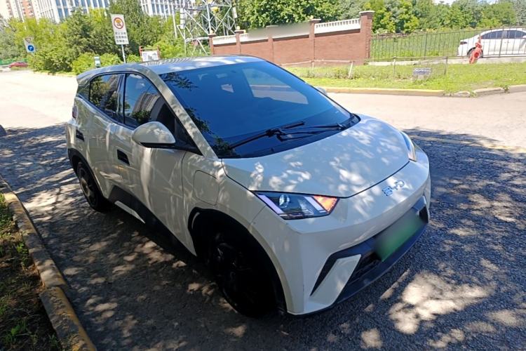 BYD Seagull 2024 — 3