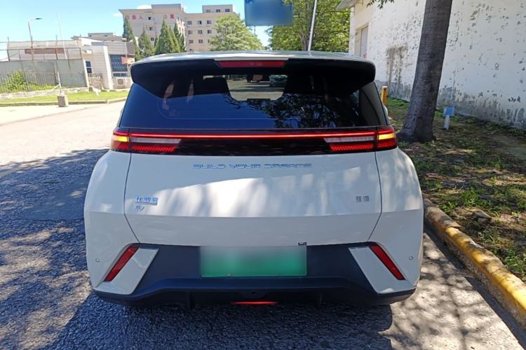 BYD Seagull 2024 — 5