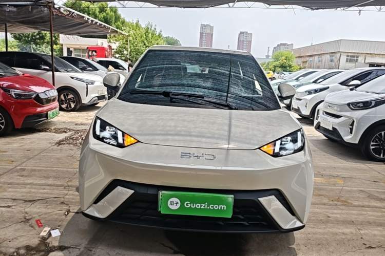 BYD Dolphin Mini 2025 — 2