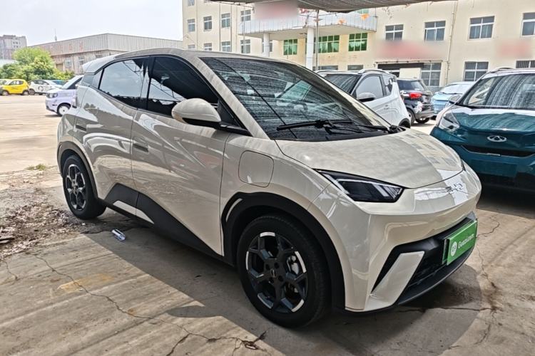 BYD Dolphin Mini 2025 — 3