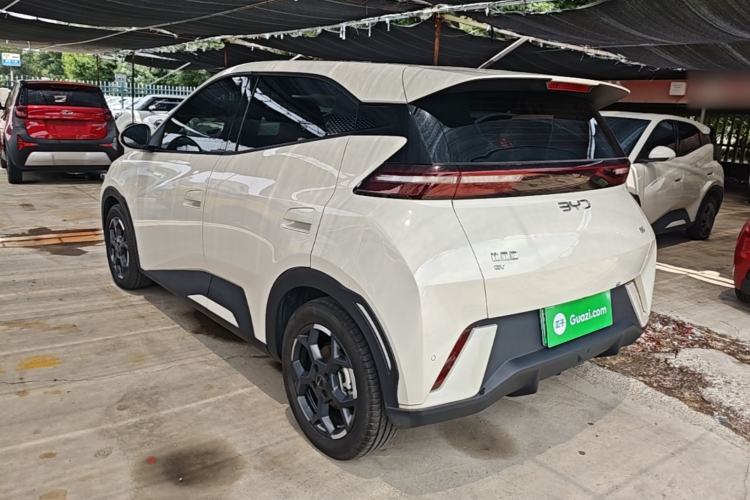 BYD Dolphin Mini 2025 — 4