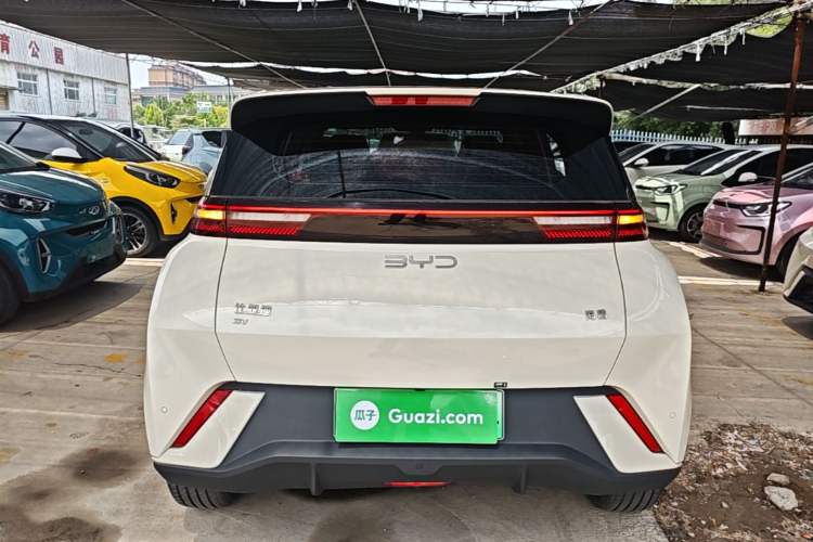 BYD Dolphin Mini 2025 — 5