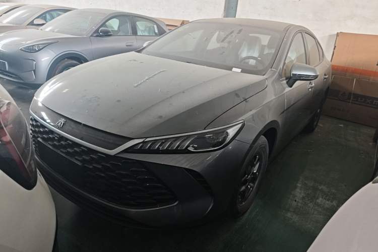 BYD Qin Plus 2025 — фото 1