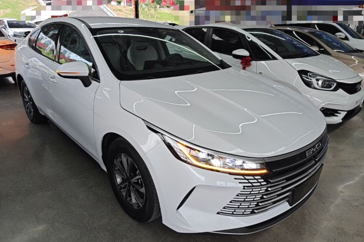 BYD Destroyer 05 2024 — 3