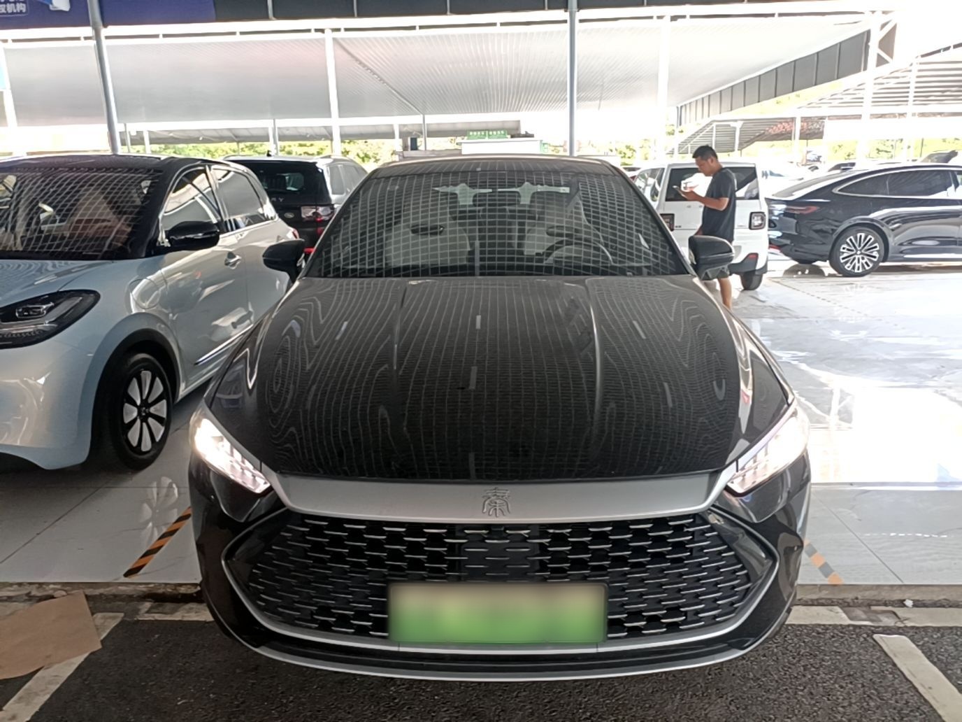 BYD Qin Plus 2023 — фото 2
