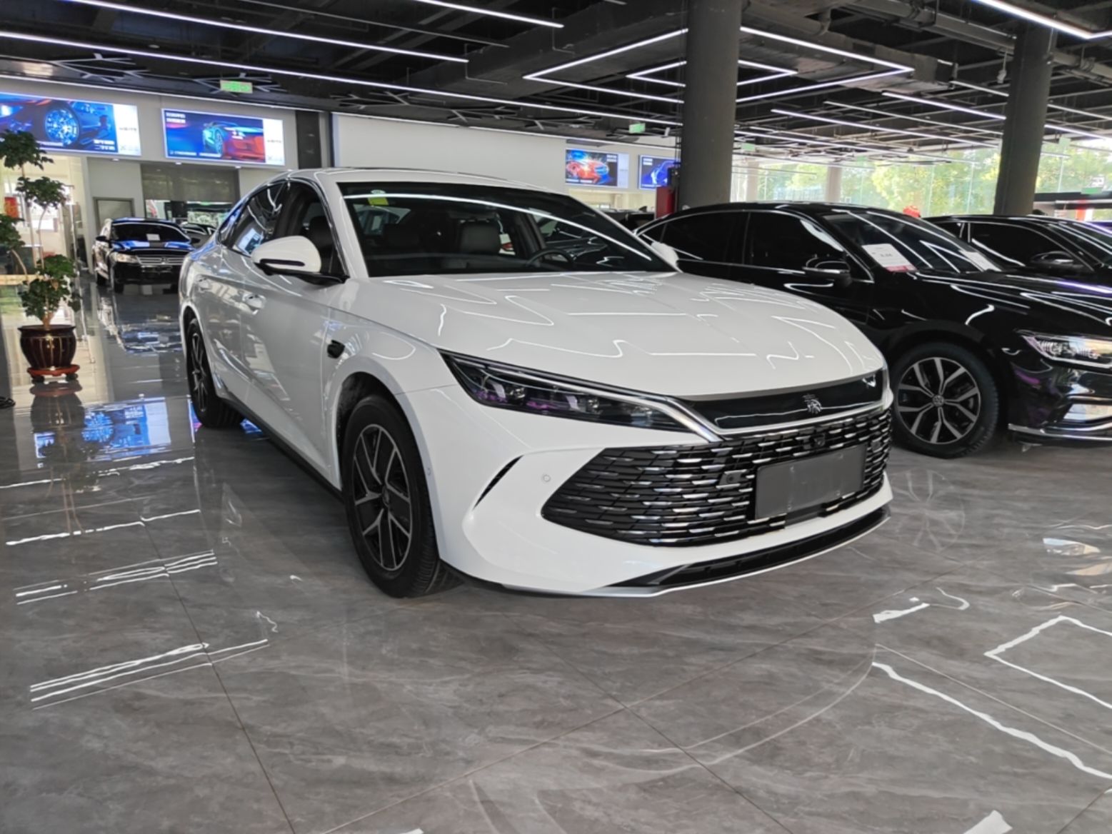 BYD Qin L 2025 — фото 3