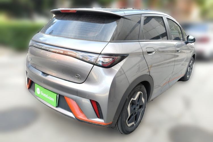 BYD Dolphin 2021 — 4