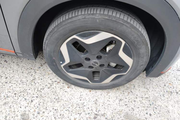 BYD Dolphin 2021 — 5